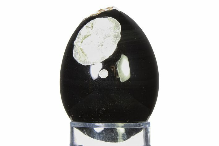 Polished Orthoclase Obsidian Egg - Mexico #322355